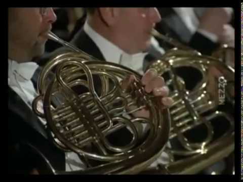 Sibelius   Symphony No  2 in D Major Op  43 , Mvt  4. Bernstein Wiener Philharmoniker