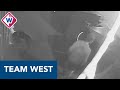 Scootmobiel gestolen door man met hond - Team West