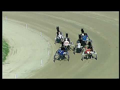 Napoli Trotto 19/11/2021 - prova di qualifica