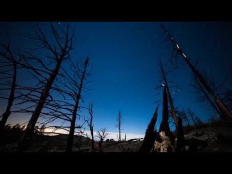 Quebonafide x Planet ANM x HuczuHucz - Pośród Gwiazd (KuKiS Blend)