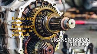 4 Reasons Why Your Audi Transmission Vibrates While Accelerating