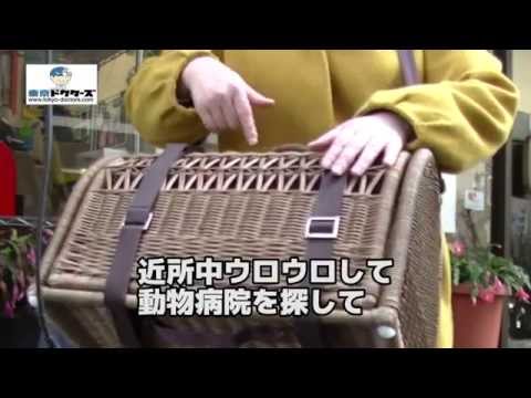 飼い主女性の声