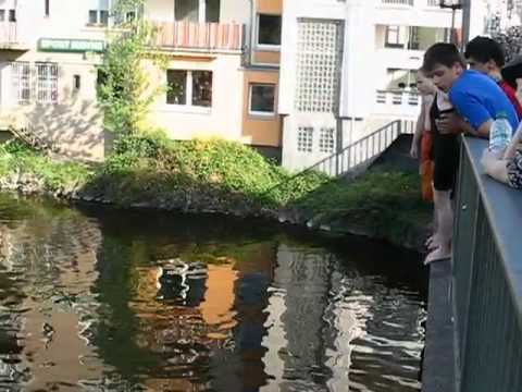 Brückenspringer 23.04.2011 /2 Bad Kreuznach