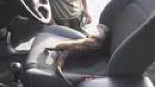 Source: YouTube | Via: Tastefully Offensive