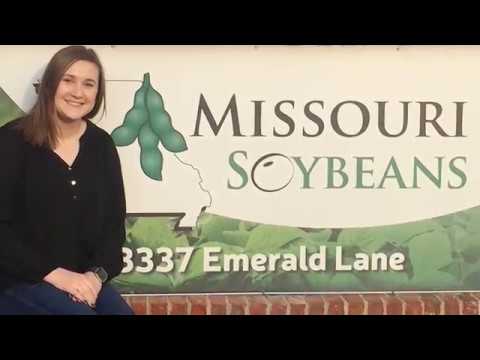 download lagu mp3 mp4 Missouri Soybean Association, download mp3 Missouri Soybean Association free downloadn, video klip Missouri Soybean Association