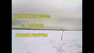 Первое озеро рыбалка в челябинской области 2020