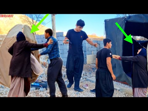 Secrets of healthy dog nutrition: Alireza's experience in making homemade food