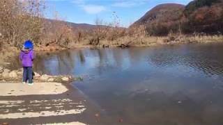 Susquehanna River Condition Report, Shickshinny, PA - LIVE!