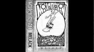 Millencolin - An Elf And His Zippo