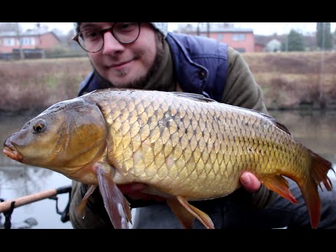 Vinterfiskeri efter karper