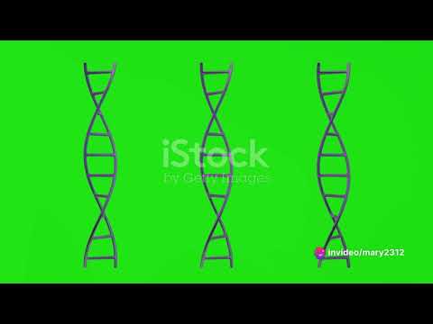 Decoding Genomics  PCA