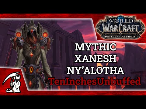 TenInchesUnbuffed VS Dark Inquisitor Xanesh - Mythic Ny'alotha