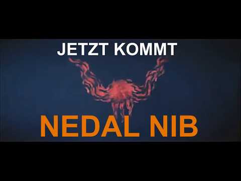 IS DOCH NUR CRACK #11 NEDAL NIB JIZI NEDAL NIB AMIGO uvm...