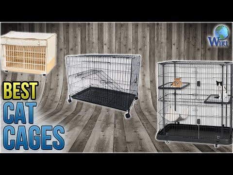 10 Best Cat Cages 2018