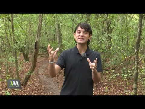 Jujuy: Parque Nacional Calilegua