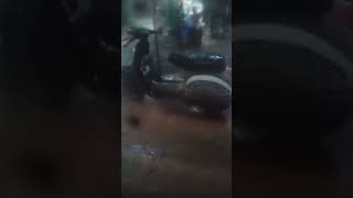 Download lagu VESPA KEHUJANAN || hujan deras sekalian mandiin vespa mp3