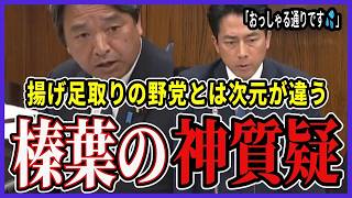 【神質疑】小泉大臣が完全論破され平謝り…！榛葉賀津也が一喝した直後、茂木外相を大絶賛！揚げ足取りの野党とは次元が違う圧巻の国会