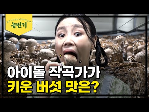 표고인데 송이향이 나는 버섯? | 농번기 EP.10