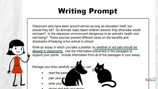 Analyze a Writing Prompt
