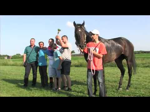 Konji ponovo jure 12.06.2017. ep. 1015