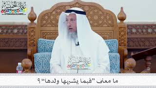 20 - ما معنى “فبما يشبهها ولدها”؟ - عثمان الخميس