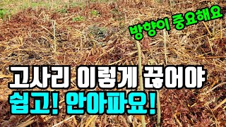 고사리꺾는방법 / 손가락 아프지 않게 고사리 끊는방법/ 고사리 끝을 눌러주는 이유?