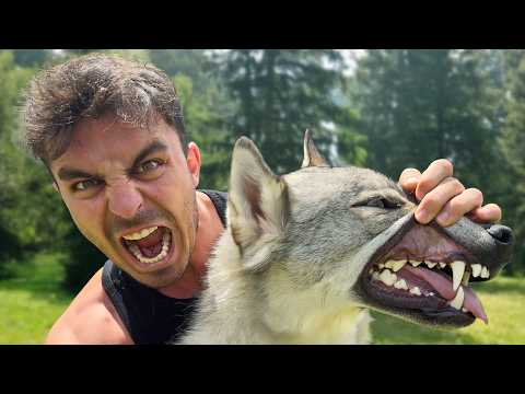 KURTLARLA VAHŞİ HAYVAN İZİ SÜRDÜK! @doganayvural