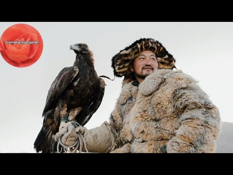 Silent Moon (Jia Peng Fang) - Erhu Cover By Eliott Tordo / Nr. 2 Music Video 🎧 🎬Silent Moon