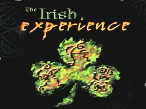 The Irish Experience - Paddy on the Landfill