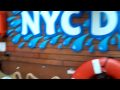 NYC Ducks Part 4