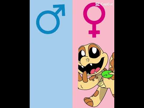 nightmare critters and daydream critters