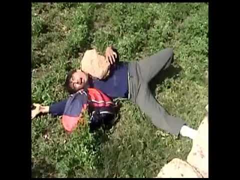 zapateo Suegro Maldito los felidos de Bolivia