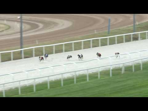 2017.06.30. 4. - Agár