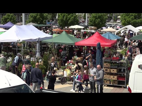 2021.05.08. - Aki a virágot szereti...