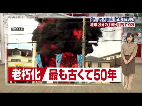 死の罠としての送電線