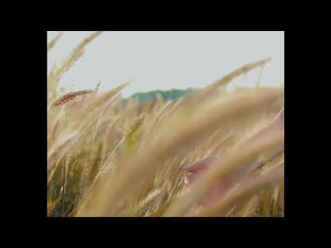 [FREE] Blackbear Type Beat | “Sad”