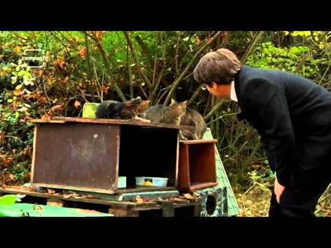 CampusTV Mainz - Die CampusTiger