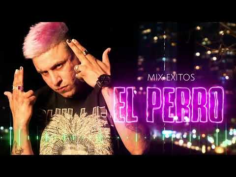 EL PERRO ⚡ ENGANCHADO ⚡ MEJORES TEMAS ⚡