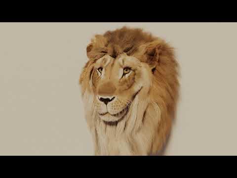 Lion Head - Made in Blender