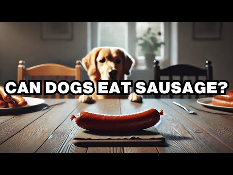 Can Dogs Eat Sausage? Explained