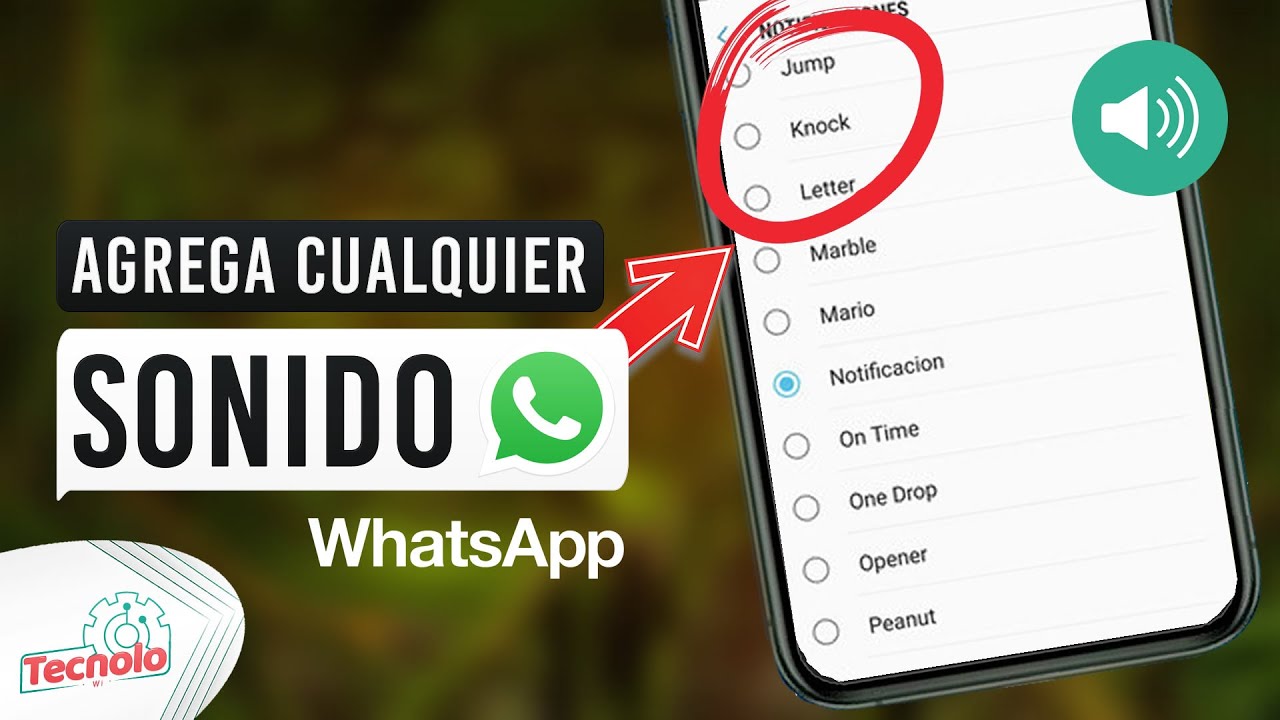 Como añadir nuevos sonidos y tonos de notificaciones a WhatsApp