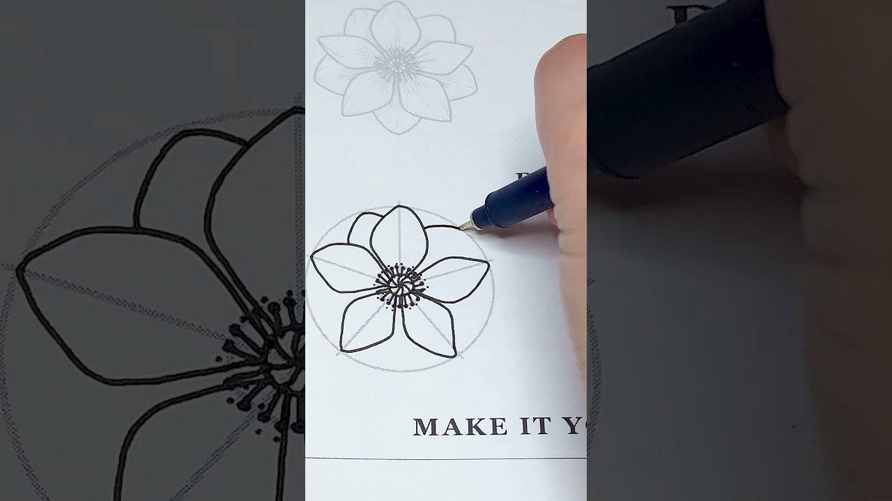 Drawing the Anemone flower in super easy stages from the ultimate flower drawing book 💐🥰✨