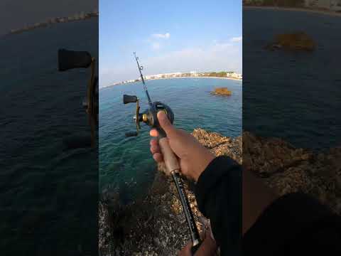 Kann man mit der Billo Baitcaster von Temu Fische fangen? #angeln #baitcaster #fishing