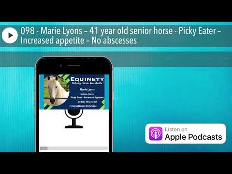 YouTube video about: How to increase horse appetite?