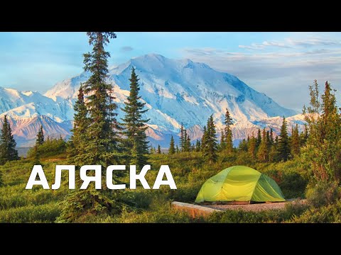  
            
            МОИ 40 ДНЕЙ НА АЛЯСКЕ
            
        