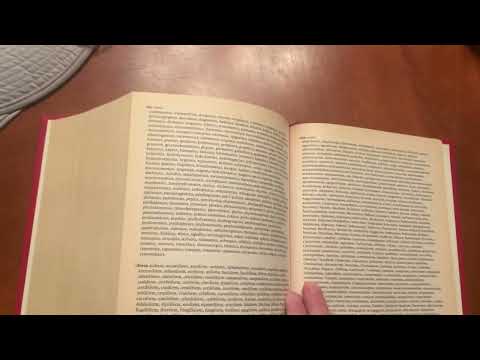 Thing Thesaurus