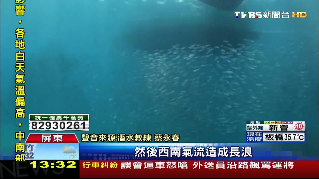 壯觀!墾丁萬尾銀漢魚群游 猶如海龍捲