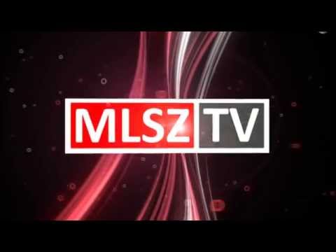 Tischler gólja a Puskás Akadémia FC - Dunaújváros mérkőzésen