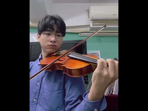 La Vita Bella - Loreta Fin, 2nd Violin