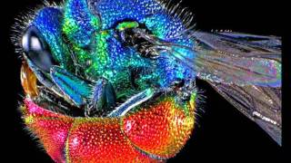 magnetic man boiling water